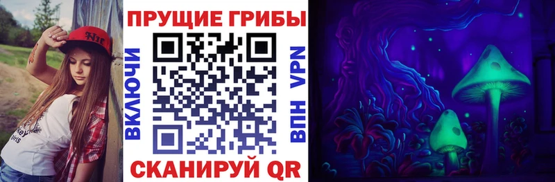 Псилоцибиновые грибы мухоморы  Купить где  Магас 